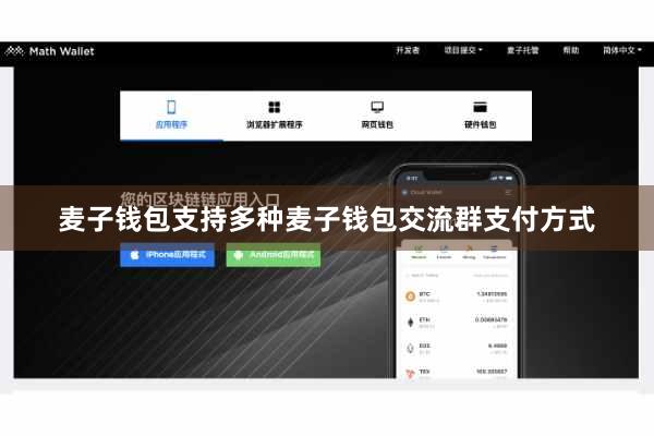 麦子钱包支持多种麦子钱包交流群支付方式