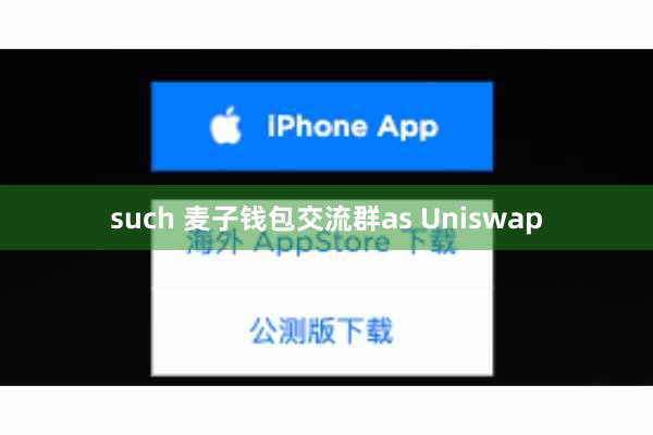 such 麦子钱包交流群as Uniswap