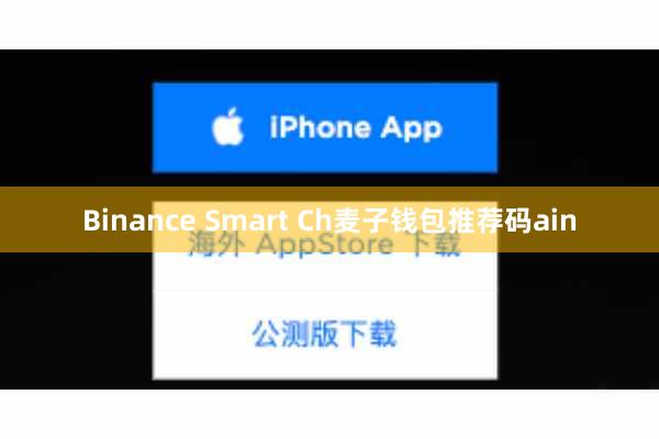 Binance Smart Ch麦子钱包推荐码ain