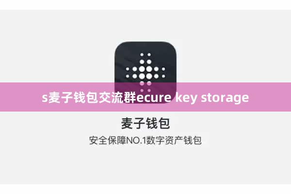 s麦子钱包交流群ecure key storage
