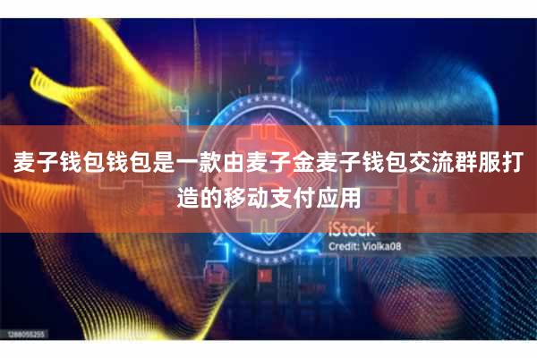 麦子钱包钱包是一款由麦子金麦子钱包交流群服打造的移动支付应用